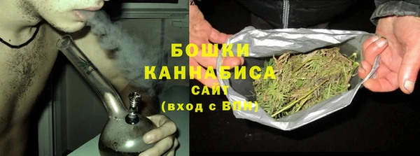 дмт Пестово