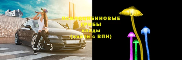 крисы Переславль-Залесский