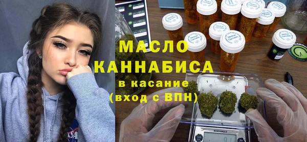 дмт Пестово