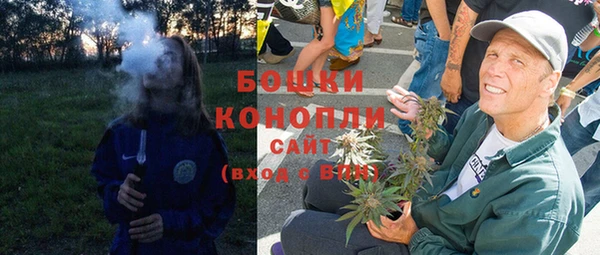 дмт Пестово