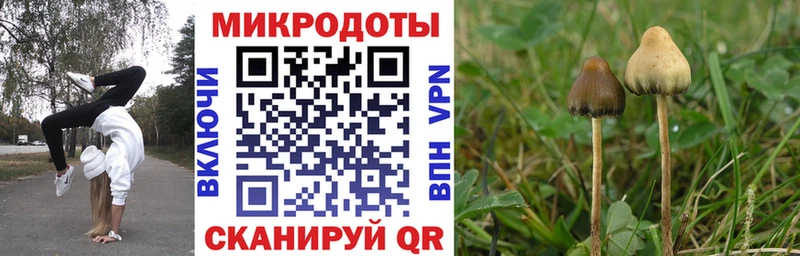 Галлюциногенные грибы Psilocybe  Купить  Серафимович 